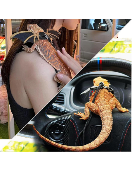 Transportador para Dragón Barbudo HNCH con Correa y Disfraz