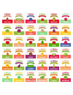 Tarjetas de Hitos de Embarazo Canopy Street - 18 Piezas 22.86 cm