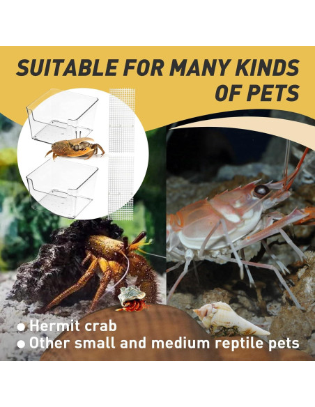 Tanque para Cangrejo Ermitaño Iffitya con Rampas - 10.39x10.32cm