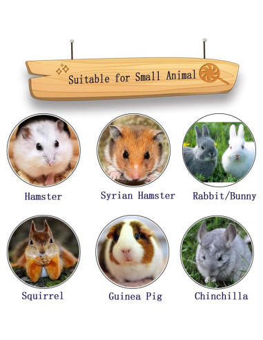 Bloques de Lava para Masticar PINVNBY 15 Pcs - Salud Dental Roedores