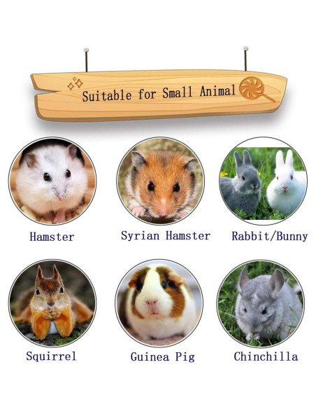 Bloques de Lava para Masticar PINVNBY 15 Pcs - Salud Dental Roedores