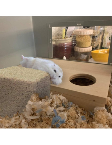 Bloques de Lava para Masticar PINVNBY 15 Pcs - Salud Dental Roedores