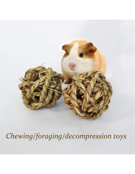15PCS Juguetes de Bola de Hierba Natural para Mascotas 7.1cm
