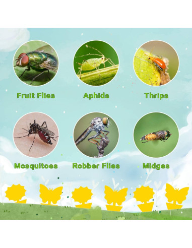 Trampas Adhesivas Amarillas Mosqueda - Paquete de 36 Unidades