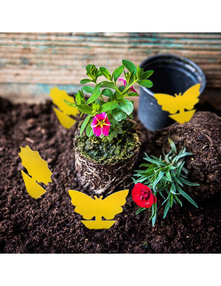 Trampas Adhesivas Amarillas Mosqueda - Paquete de 36 Unidades