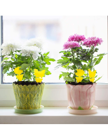 Trampas Adhesivas Amarillas Mosqueda - Paquete de 36 Unidades