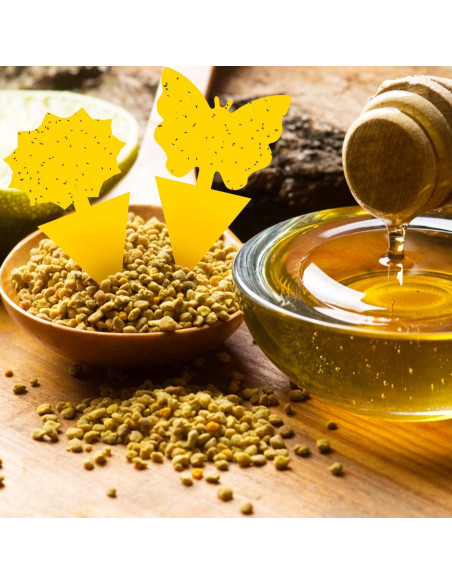 Trampas Adhesivas Amarillas Mosqueda - Paquete de 36 Unidades