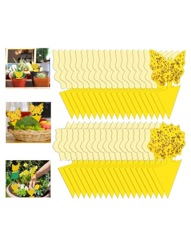 54 Trampas Adhesivas para Moscas de Fruta Stingmon - Efectivas y Seguras