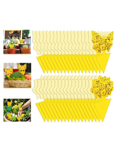 54 Trampas Adhesivas para Moscas de Fruta Stingmon - Efectivas y Seguras