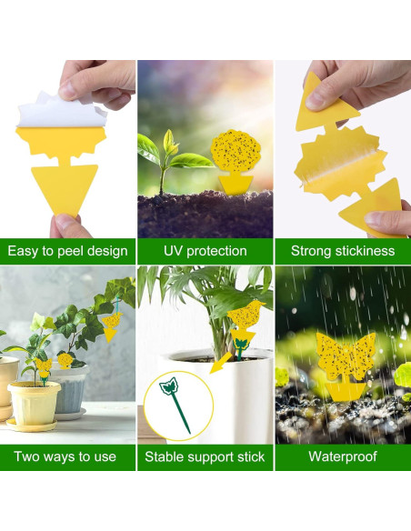 54 Trampas Adhesivas para Moscas de Fruta Stingmon - Efectivas y Seguras