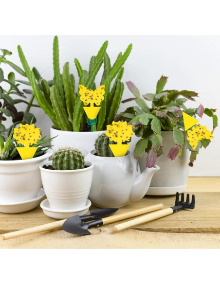 54 Trampas Adhesivas para Moscas de Fruta Stingmon - Efectivas y Seguras