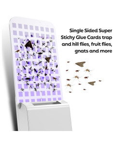 Tarjetas Adhesivas Reemplazo Trampa Insectos KOOSA 12 Unidades 2