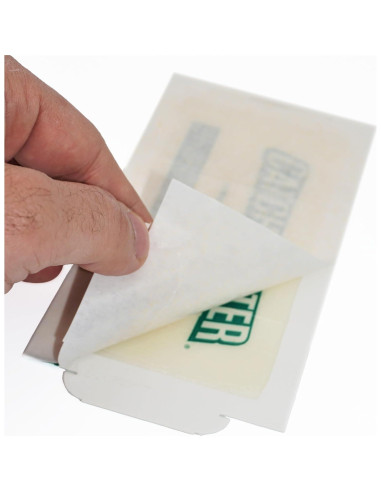 Trampa de Pegamento Catchmaster 724 - 4 Unidades para Insectos