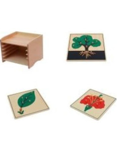 Gabinete de Rompecabezas de Botánica Adena Montessori 3 Piezas 2