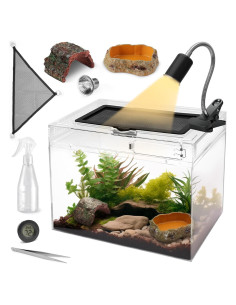 Terrario Pequeño AZV 30.48x22.86x17.78 cm con Accesorios