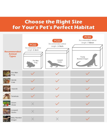 Terrario Pequeño AZV 30.48x22.86x17.78 cm con Accesorios