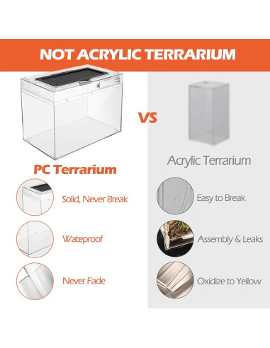 Terrario Pequeño AZV 30.48x22.86x17.78 cm con Accesorios