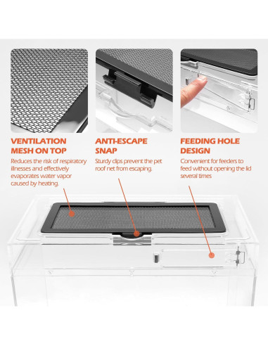 Terrario Pequeño AZV 30.48x22.86x17.78 cm con Accesorios