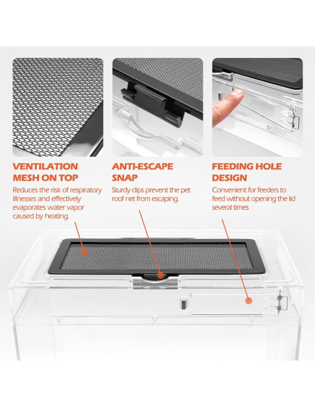 Terrario Pequeño AZV 30.48x22.86x17.78 cm con Accesorios