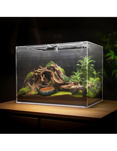 Terrario Pequeño AZV 30.48x22.86x17.78 cm con Accesorios