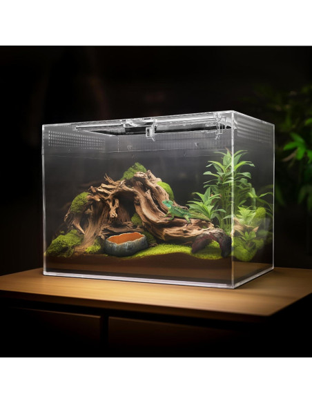 Terrario Pequeño AZV 30.48x22.86x17.78 cm con Accesorios