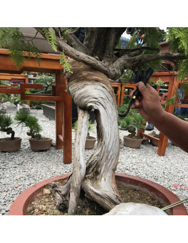 Juego de Herramientas de Bonsai VOUIU 5 Piezas con Bolsa