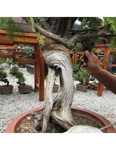 Juego de Herramientas de Bonsai VOUIU 5 Piezas con Bolsa Juego de Herramientas de Bonsai VOUIU 5 Piezas con Bolsa