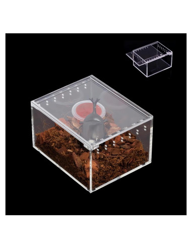 Caja de cría de insectos AWXZOM 10x8.5x6cm Acrílico Transparente