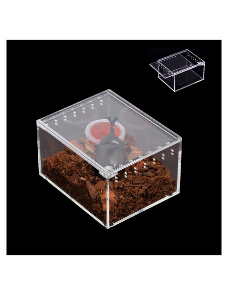 Caja de cría de insectos AWXZOM 10x8.5x6cm Acrílico Transparente