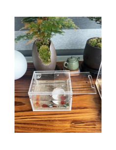 Caja de cría de insectos AWXZOM 10x8.5x6cm Acrílico Transparente 2