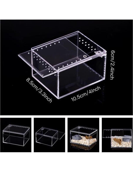 Caja de cría de insectos AWXZOM 10x8.5x6cm Acrílico Transparente