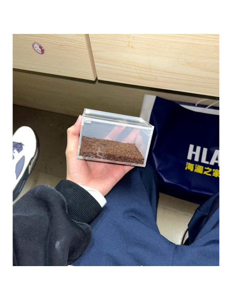 Caja de cría de insectos AWXZOM 10x8.5x6cm Acrílico Transparente