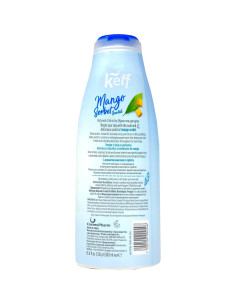 Gel de Ducha Hidratante Keff 2x453g Manteca de Karité Aloe Vera 2