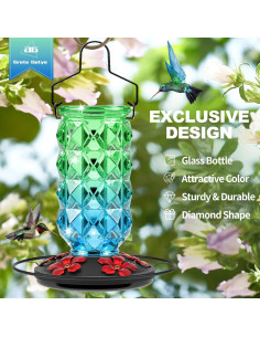 Alimentador de Colibrí de Vidrio Grete Gotye 1.6L 2 Paquetes 2