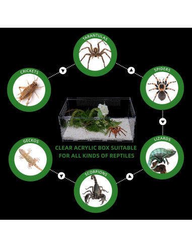 Terrario Acrílico UCandy 15.24x20.32x35.56 cm para Reptiles