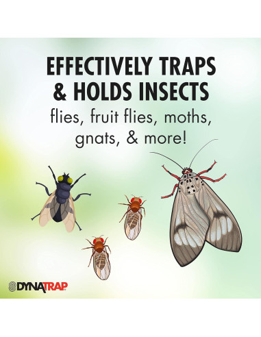 Tarjetas de Pegamento DynaTrap 230093 - Paquete de 6 para Insectos