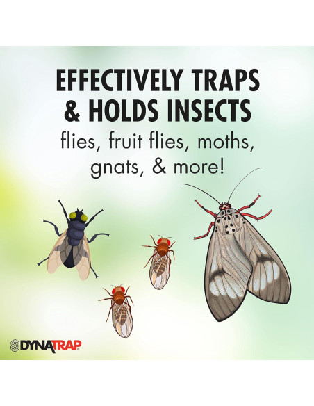 Tarjetas de Pegamento DynaTrap 230093 - Paquete de 6 para Insectos