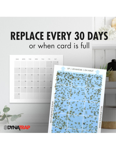 Tarjetas de Pegamento DynaTrap 230093 - Paquete de 6 para Insectos