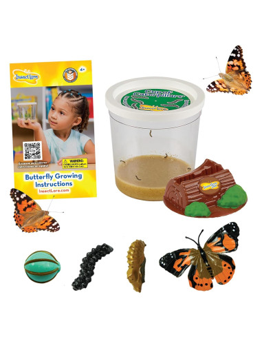 Taza con 5 Orugas Vivas Insect Lore - Ciclo de Vida Mariposa