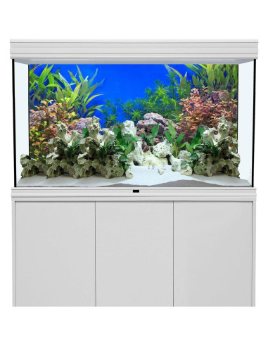 Fondo de Acuario Vinilo AWERT 60x30 cm Plantas Acuáticas