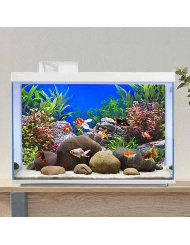 Fondo de Acuario Vinilo AWERT 60x30 cm Plantas Acuáticas