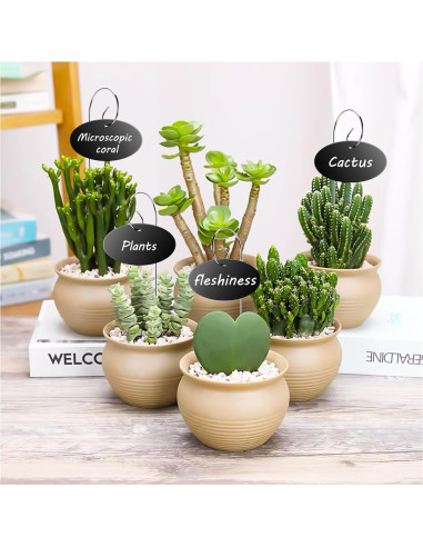 Etiquetas para Plantas Vcekract 25 Pcs con Bolígrafo Resistente
