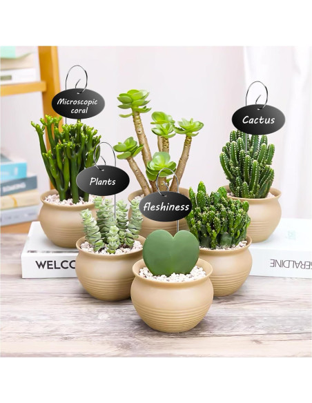 Etiquetas para Plantas Vcekract 25 Pcs con Bolígrafo Resistente