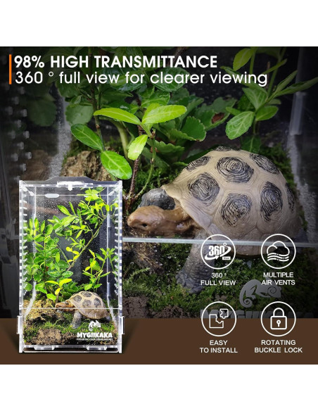 Terrario de Acrílico MYGIIKAKA 20x12x11 cm para Reptiles