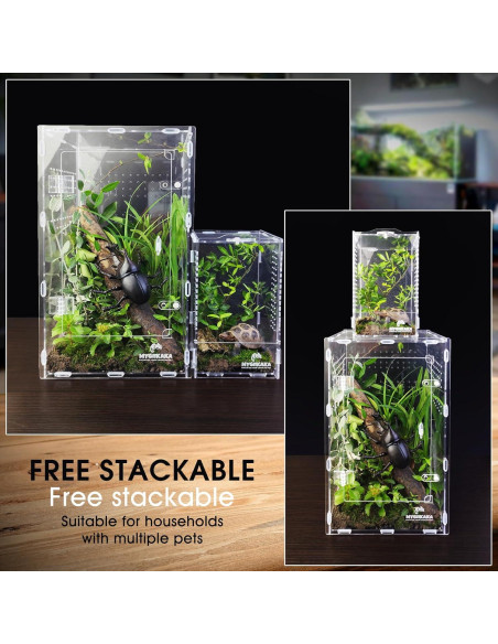 Terrario de Acrílico MYGIIKAKA 20x12x11 cm para Reptiles