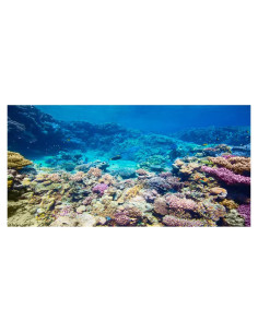 Fondo de Acuario AWERT Coral Tropical 60x30 cm Poliester