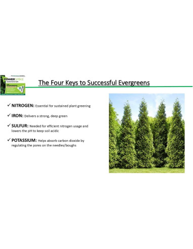 Pico de Poder Nutriente para Siempreverdes - 10 Picos 1.45 kg