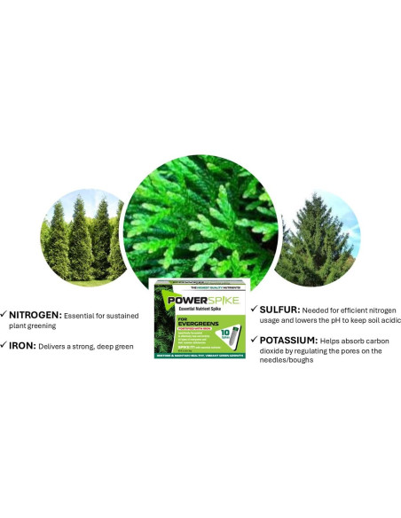 Pico de Poder Nutriente para Siempreverdes - 10 Picos 1.45 kg