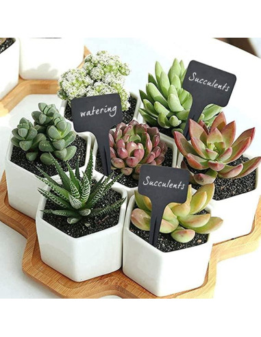 100 Etiquetas de Jardín Reutilizables DaTpuik Tipo T Negras