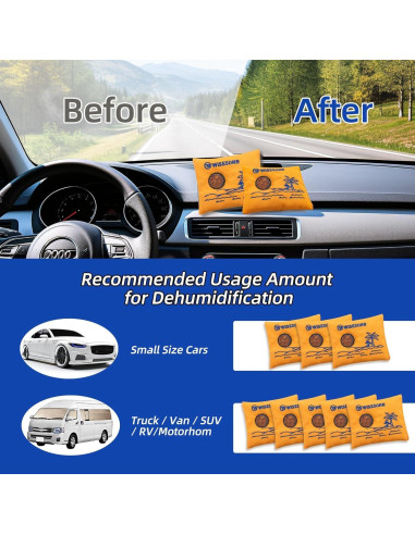 Paquete Deshidratante Reutilizable Wisesorbent 100g x2 con Ventana